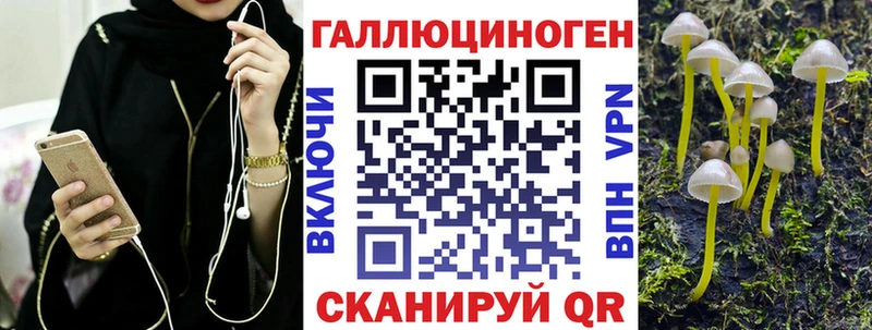 Купить закладки  Домодедово  Галлюциногенные грибы GOLDEN TEACHER 